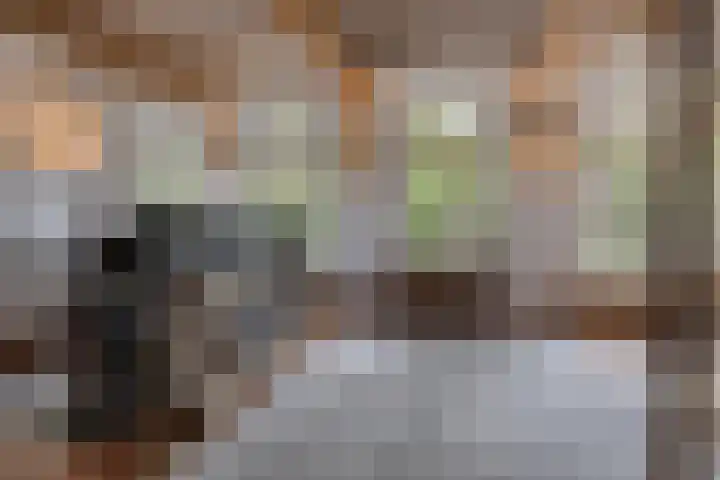 Kanaaldijk 3 Meijel foto 2