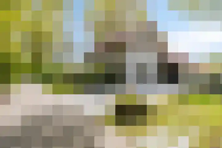 Kanaaldijk 3 Meijel thumbnail 21