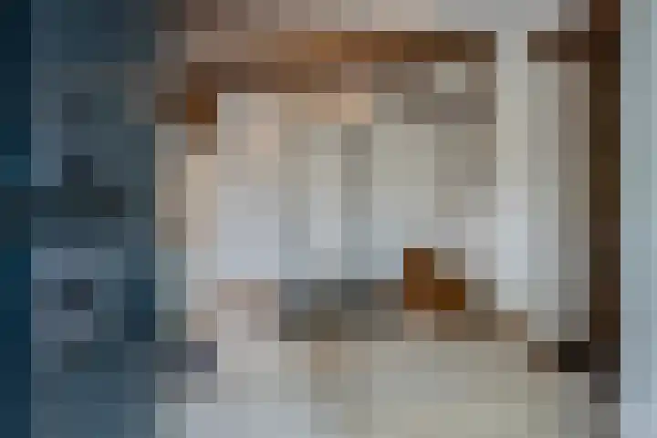 Kanaaldijk 3 Meijel thumbnail 22
