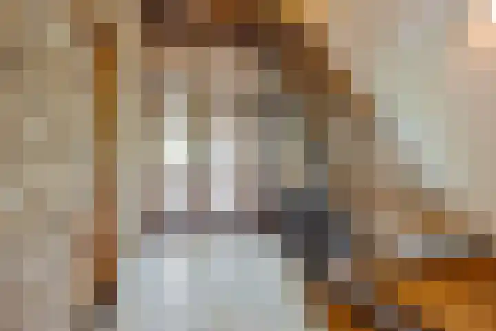 Kanaaldijk 3 Meijel thumbnail 24