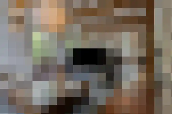Kanaaldijk 3 Meijel thumbnail 28