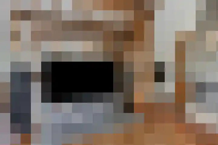 Kanaaldijk 3 Meijel thumbnail 31