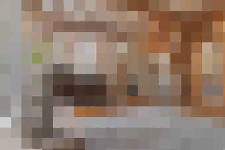 Kanaaldijk 3 Meijel thumbnail 32