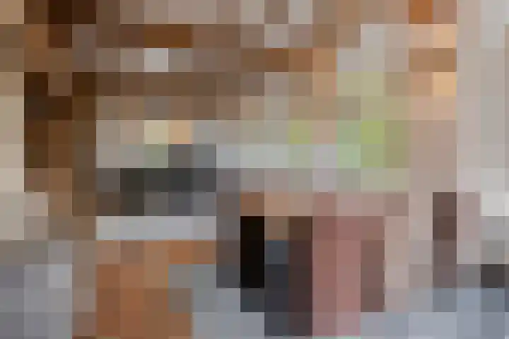 Kanaaldijk 3 Meijel thumbnail 35