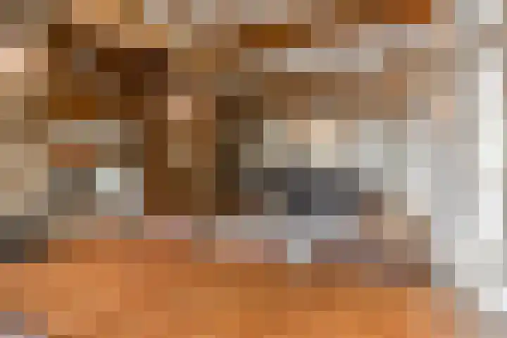 Kanaaldijk 3 Meijel thumbnail 36