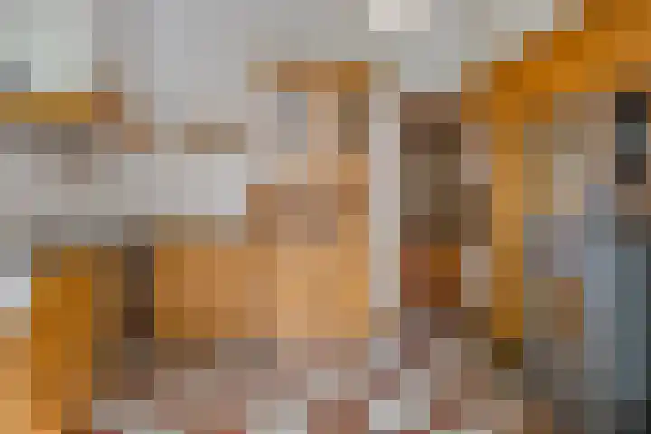 Kanaaldijk 3 Meijel thumbnail 37