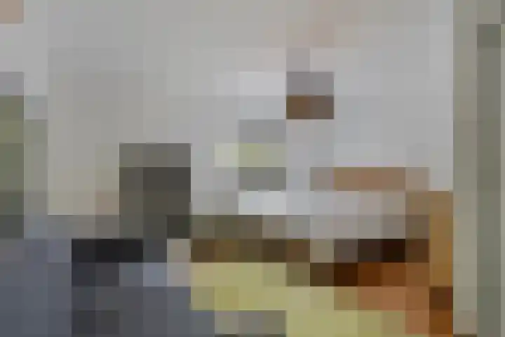 Kanaaldijk 3 Meijel thumbnail 4