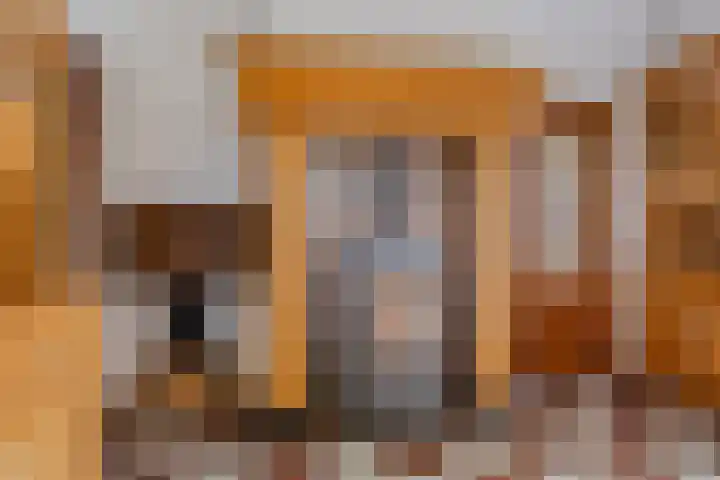 Kanaaldijk 3 Meijel thumbnail 40