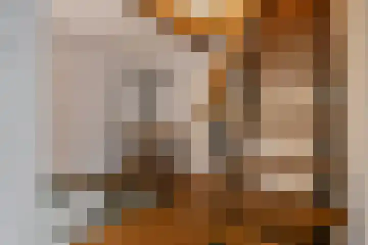 Kanaaldijk 3 Meijel thumbnail 43