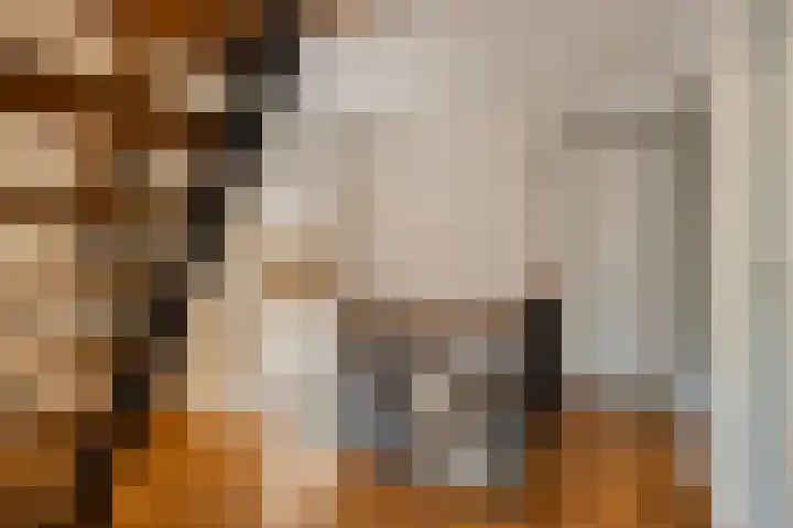 Kanaaldijk 3 Meijel thumbnail 44