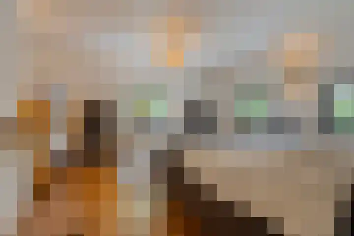 Kanaaldijk 3 Meijel thumbnail 45