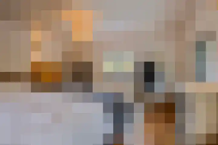 Kanaaldijk 3 Meijel thumbnail 47