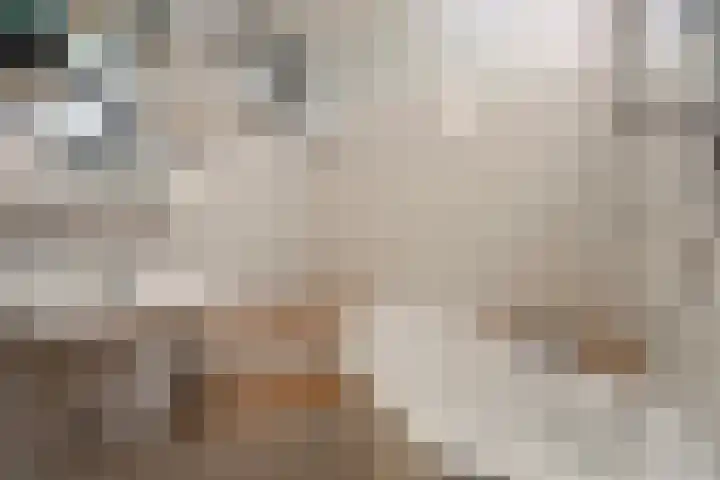 Kanaaldijk 3 Meijel thumbnail 5