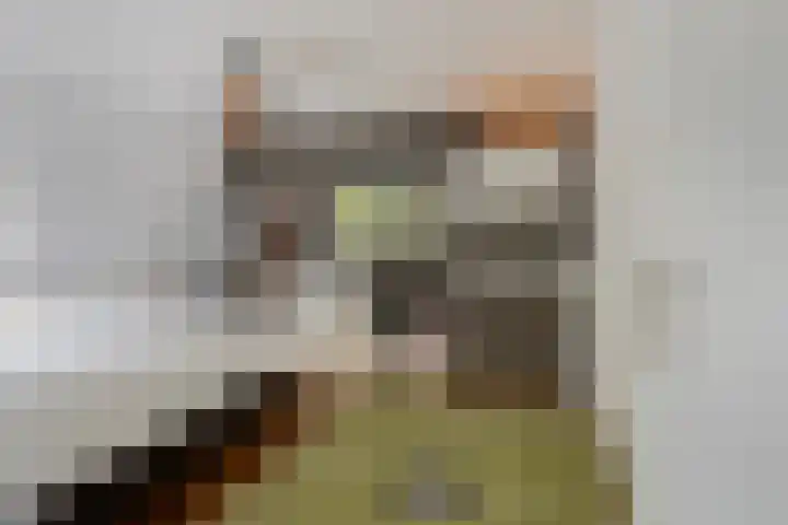 Kanaaldijk 3 Meijel thumbnail 51
