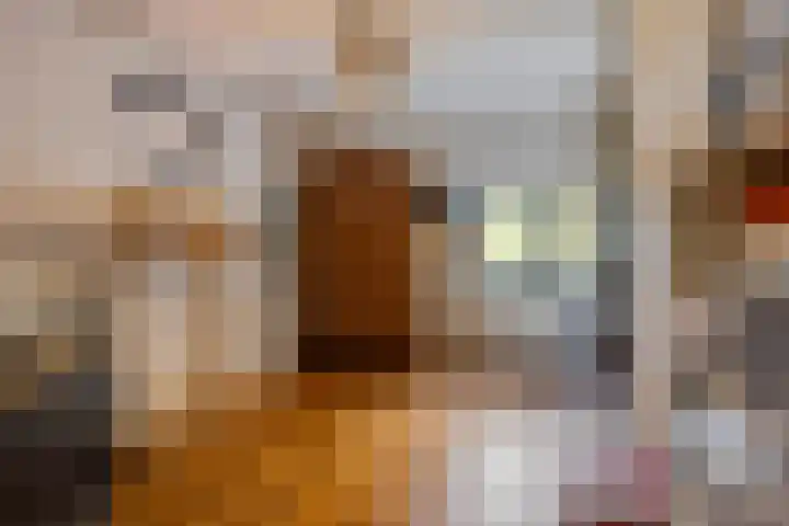 Kanaaldijk 3 Meijel thumbnail 54