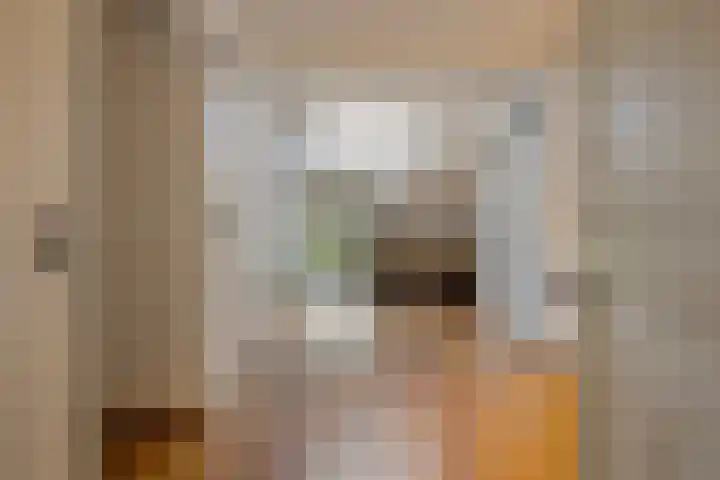 Kanaaldijk 3 Meijel thumbnail 58