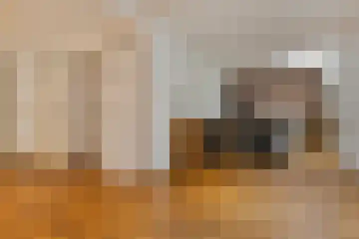 Kanaaldijk 3 Meijel thumbnail 59