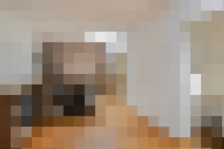Kanaaldijk 3 Meijel thumbnail 62