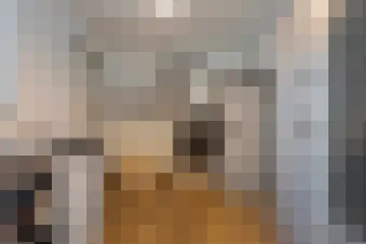 Kanaaldijk 3 Meijel thumbnail 68