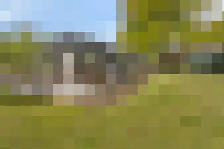 Kanaaldijk 3 Meijel thumbnail 7