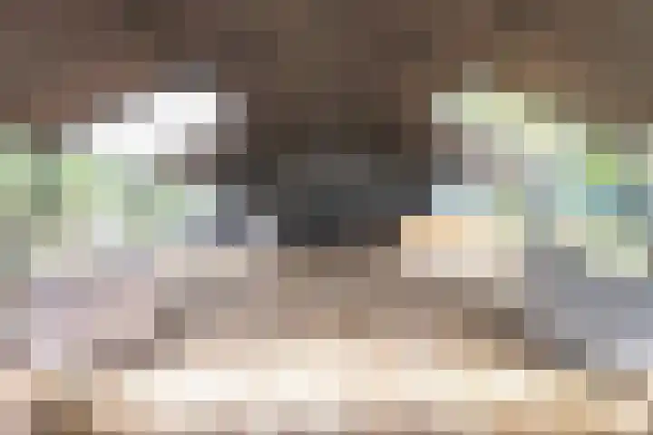 Kanaaldijk 3 Meijel thumbnail 71