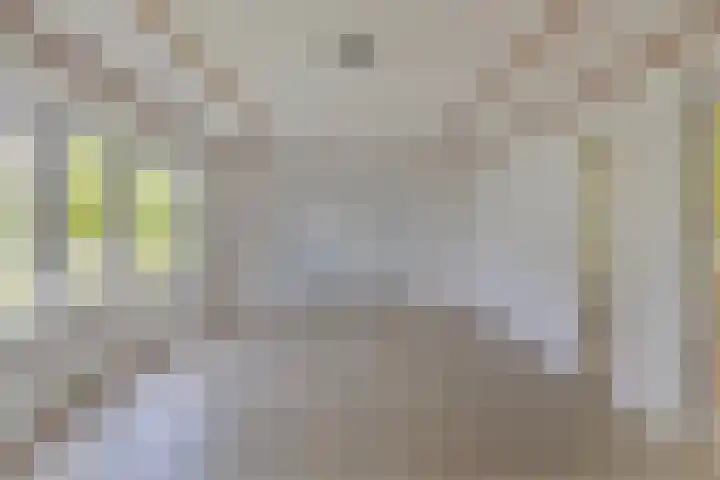 Kanaaldijk 3 Meijel thumbnail 77
