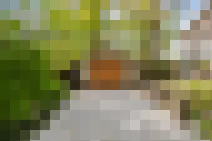 Kanaaldijk 3 Meijel thumbnail 85