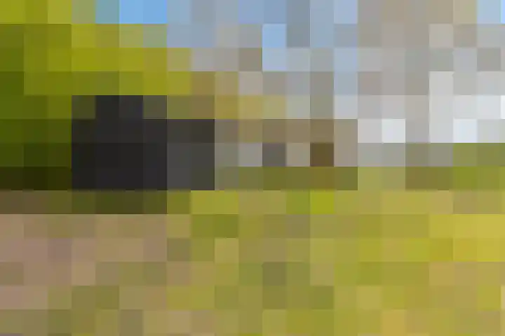 Kanaaldijk 3 Meijel thumbnail 9