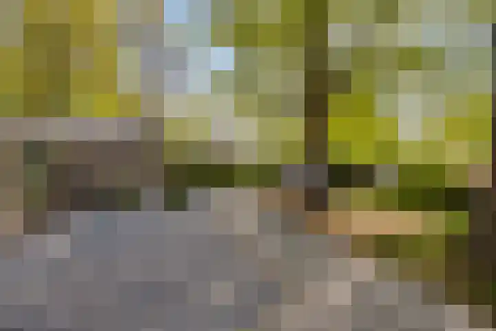 Kanaaldijk 3 Meijel thumbnail 90