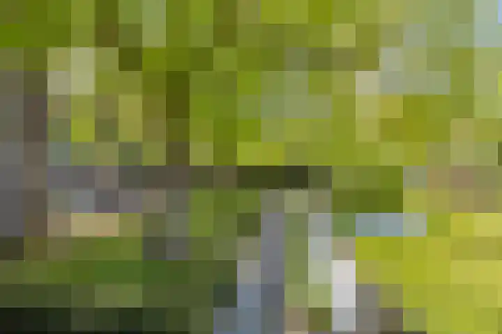 Kanaaldijk 3 Meijel thumbnail 91