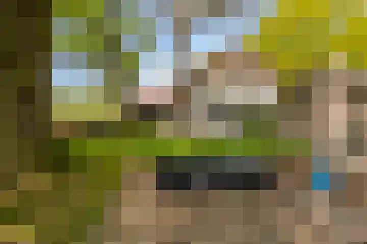 Kanaaldijk 3 Meijel thumbnail 92