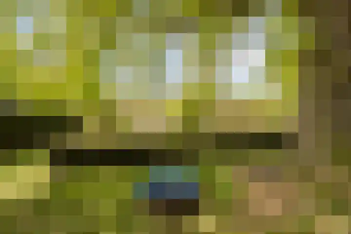 Kanaaldijk 3 Meijel thumbnail 93