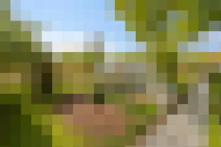 Kanaaldijk 3 Meijel thumbnail 94