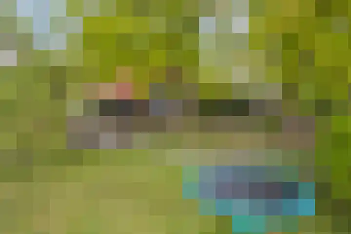 Kanaaldijk 3 Meijel thumbnail 95