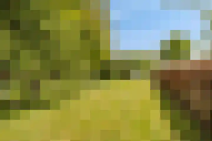 Kanaaldijk 3 Meijel thumbnail 97
