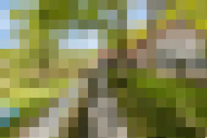 Kanaaldijk 3 Meijel thumbnail 98