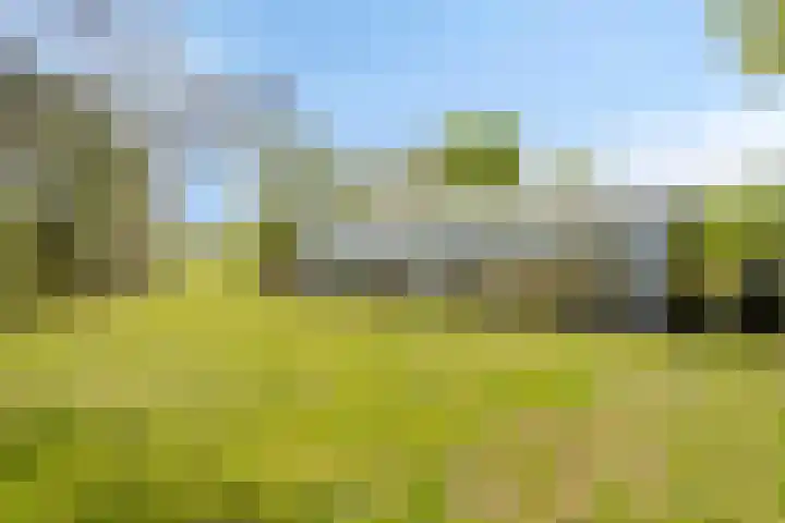 Kanaaldijk 3 Meijel thumbnail 99