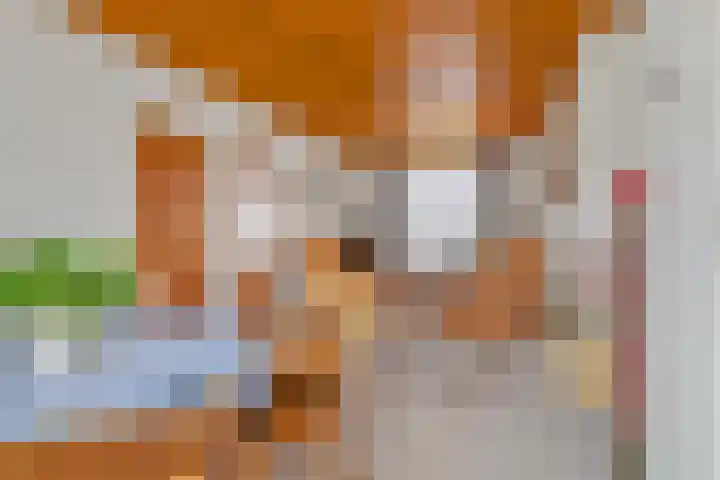 Kanaaldijk 3 Nederweert thumbnail 12