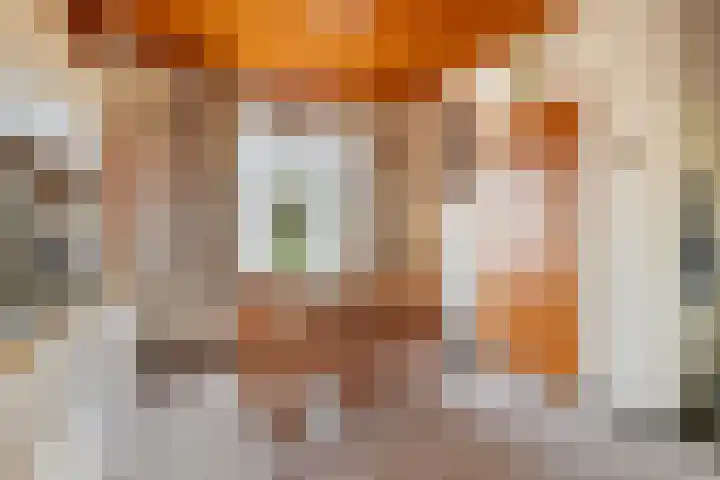 Kanaaldijk 3 Nederweert thumbnail 14