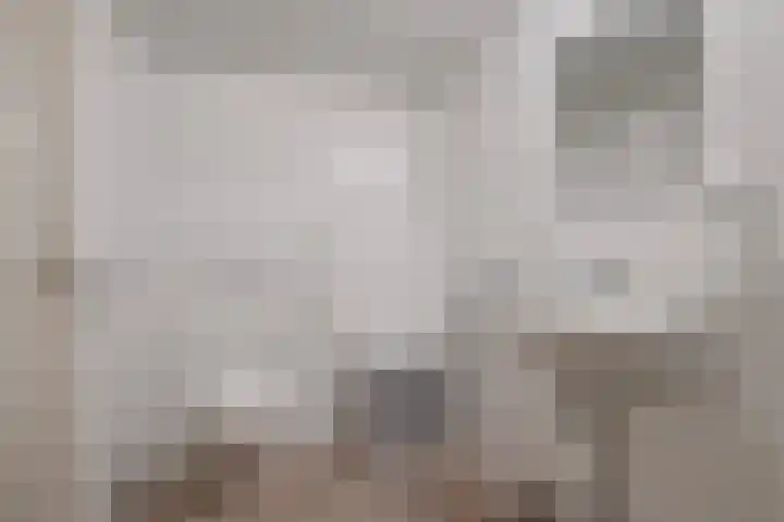 Kanaaldijk 3 Nederweert thumbnail 17