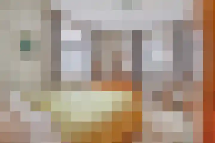 Kanaaldijk 3 Nederweert thumbnail 18