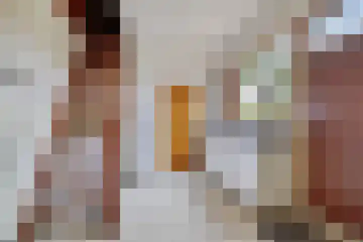 Kanaaldijk 3 Nederweert thumbnail 20