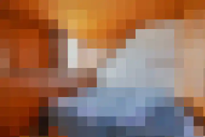 Kanaaldijk 3 Nederweert thumbnail 22