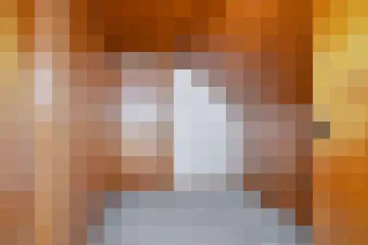 Kanaaldijk 3 Nederweert thumbnail 23