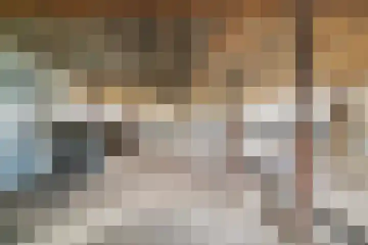 Kanaaldijk 3 Nederweert thumbnail 25