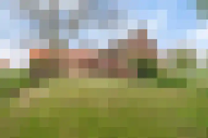 Kanaaldijk 3 Nederweert thumbnail 29
