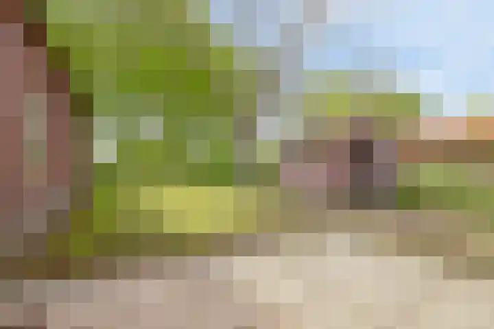 Kanaaldijk 3 Nederweert thumbnail 30