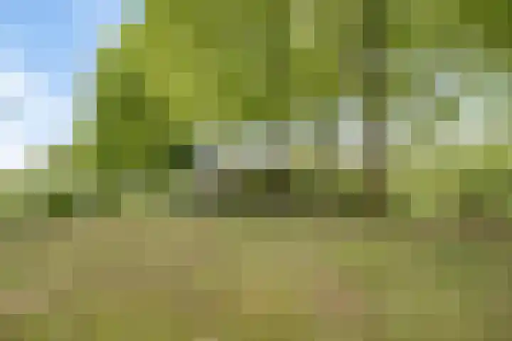 Kanaaldijk 3 Nederweert thumbnail 32