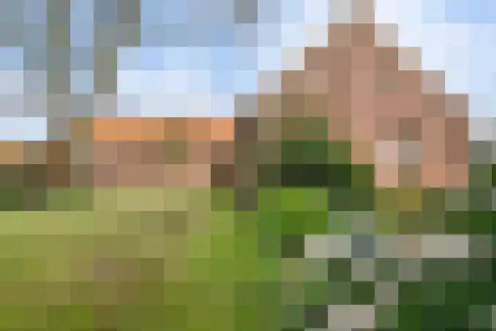 Kanaaldijk 3 Nederweert thumbnail 33