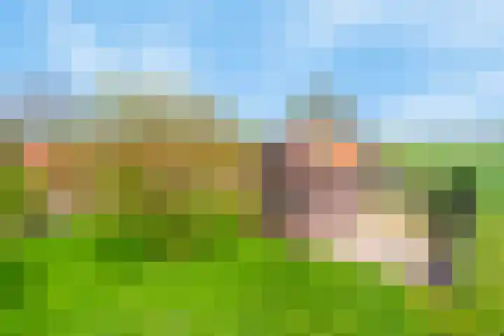 Kanaaldijk 3 Nederweert thumbnail 34